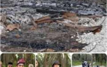 Ratusan OTK Bakar Pos Jaga, Massa Padati Eks PT Torganda