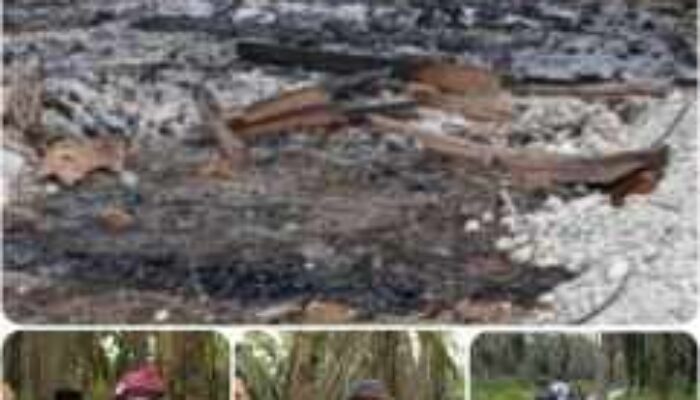 Ratusan OTK Bakar Pos Jaga, Massa Padati Eks PT Torganda