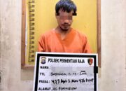 Security PT Air Jernih Tangkap Pelaku Pencurian Buah Sawit, Satu Pelaku Kabur