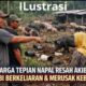 Warga Dusun Tepian Napal Merasakan Resah Dan DirugikanTerhadap Keberadaan Babi Berkeliaran