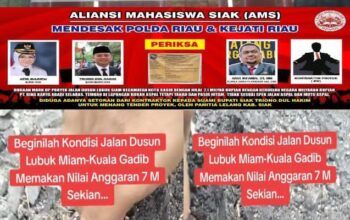 Diduga Dinas PUPR Siak Lakukan Pembohongan Publik, Pengaspalan Jalan Lubuk Miyam Koto Gasib Tidak Sesuai Spek Hingga Bisa Dilebur Dengan Jari Tangan