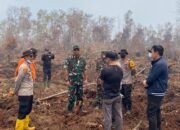 Dansat Brimob Polda Riau Turun Langsung Tinjau dan Pemadaman Karhutla di Dumai