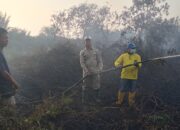 Camat TPTM Muhammad Zuhri bersama stakeholder berjibaku  memadamkan karhutla di Kepenghuluan labuhan papan