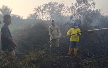 Camat TPTM Muhammad Zuhri bersama stakeholder berjibaku  memadamkan karhutla di Kepenghuluan labuhan papan