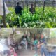 Bhabinkamtibmas Bukit Kapur Dampingi Petani Cek Perkembangan Jagung Pipil, Kapolsek IPTU Zulfahli Tegaskan Dukungan Ketahanan Pangan