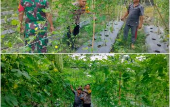 Bhabinkamtibmas Polsek Bukit Kapur Cek Pekarangan Pangan Bergizi, Kapolsek IPTU Zulfahli Tegaskan Komitmen Dukung Ketahanan Pangan