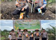 Polsek Bukit Kapur IPTU Zulpahli, S.H.,M.H.Pimpin Langsung Penanaman Jagung, Tegaskan Polri Siap Kawal Ketahanan Pangan Nasional
