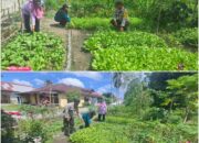 Bhabinkamtibmas Pangkalan Sesai Dumai Kawal Ketahanan Pangan Nasional, Lahan Terong Ungu Dipastikan Produktif