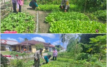 Bhabinkamtibmas Pangkalan Sesai Dumai Kawal Ketahanan Pangan Nasional, Lahan Terong Ungu Dipastikan Produktif