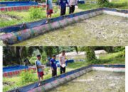 BHABINKAMTIBMAS KAWAL KETAT PROGRAM PANGAN, 20 KOLAM LELE DI BUKIT TIMAH DIPASTIKAN PRODUKTIF