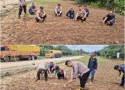 Kapolsek Sungai Sembilan IPTU,.Apriadi,.S.H.,M.H,.Turun Langsung Kawal Ketahanan Pangan, Jagung Gagal Panen Kini Tumbuh Subur di Lubuk Gaung
