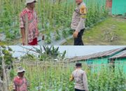 Bhabinkamtibmas Bagan Besar Aktif Kawal Ketahanan Pangan, Lahan Gambas Warga Dipantau Langsung