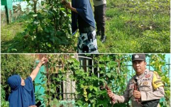 Bhabinkamtibmas Dumai Barat Aktif Dampingi Petani, Perkuat Ketahanan Pangan Nasional