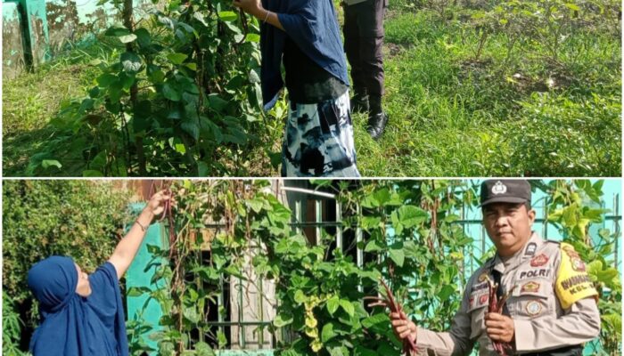 Bhabinkamtibmas Dumai Barat Aktif Dampingi Petani, Perkuat Ketahanan Pangan Nasional