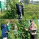 Bhabinkamtibmas Dumai Barat Aktif Dampingi Petani, Perkuat Ketahanan Pangan Nasional