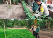 Bhabinkamtibmas Kelurahan Purnama Turun Langsung Dampingi Petani Wujudkan Ketahanan Pangan