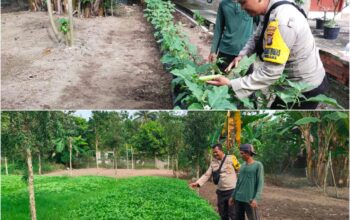 Bhabinkamtibmas Kelurahan Purnama Turun Langsung Dampingi Petani Wujudkan Ketahanan Pangan