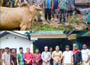 Gerindra Dumai Kepedulian Idul Adha, Johannes Serahkan Sapi Kurban untuk Masyarakat