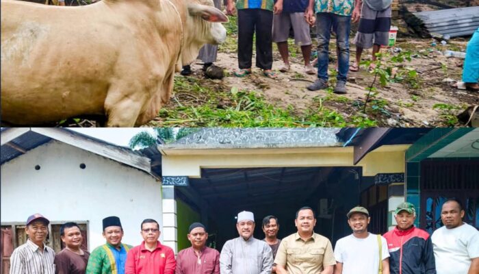 Gerindra Dumai Kepedulian Idul Adha, Johannes Serahkan Sapi Kurban untuk Masyarakat