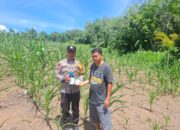POLSEK TAMBUSAI CINTA PETANI, BERIKAN BANTUAN RACUN HAMA KEPADA PETANI