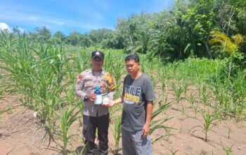 POLSEK TAMBUSAI CINTA PETANI, BERIKAN BANTUAN RACUN HAMA KEPADA PETANI