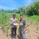 POLSEK TAMBUSAI CINTA PETANI, BERIKAN BANTUAN RACUN HAMA KEPADA PETANI