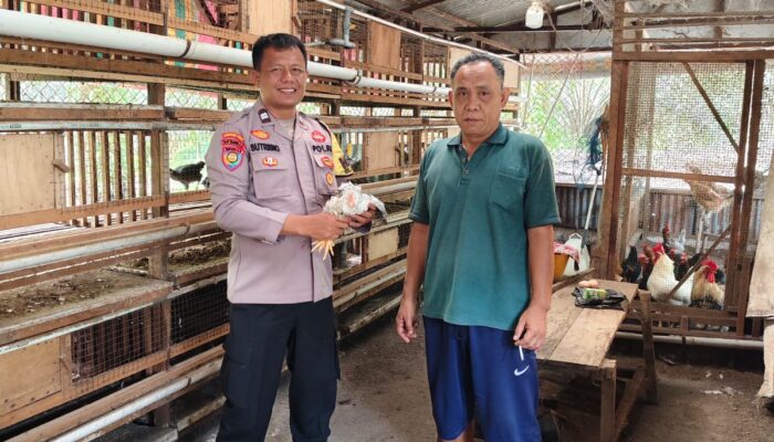 Bhabinkamtibmas Bukit Timah Aktif Dampingi Peternak, Wujudkan Ketahanan Pangan Nasional dari Tingkat Kelurahan