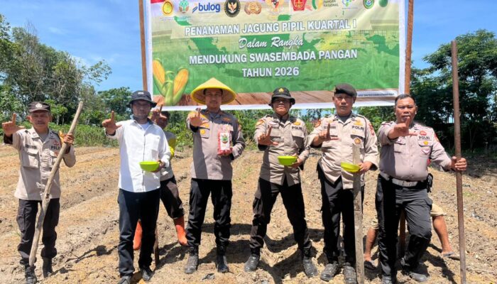 Polsek Bukit Kapur Tanam Jagung di Lahan 0,5 Hektar Guna Jaga Ketahanan Pangan