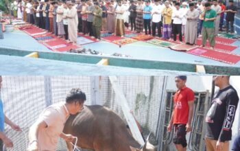 Rutan Kelas I Pekanbaru Gelar Shalat Idul Adha dan Penyembelihan Hewan Kurban, Wujudkan Kebersamaan dan Kepedulian