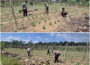 Balik Kebun Sederhana , Ada Upaya Besar Menjaga Ketahanan Pangan Nasional
