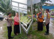 Lahan Sempit, Hasil Menjanjikan! Bhabinkamtibmas Bukit Kapur Temukan Selada Subur di Pekarangan Warga