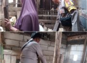 Kandang Kambing di Dumai Barat Jadi Sorotan, Ada Peran Aktif Bhabinkamtibmas Dumai.
