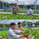 Bhabinkamtibmas Dampingi Pemuda Bumi Ayu Sulap Pekarangan Jadi Kebun Hidroponik Produktif