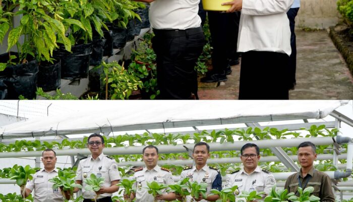 Dukung Program Ketahanan Pangan, Rutan Dumai Panen Pakcoy dan Cabai Rawit