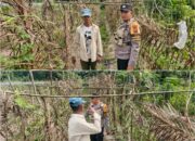 Bhabinkamtibmas Kelurahan Bagan Besar Aktif Dampingi Petani, Pastikan Program Ketahanan Pangan Nasional Berjalan Optimal