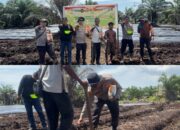 Polsek Sungai Sembilan Bergerak Nyata, Tanam Jagung 2 Hektare untuk Ketahanan Pangan Nasional