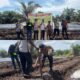 Polsek Sungai Sembilan Bergerak Nyata, Tanam Jagung 2 Hektare untuk Ketahanan Pangan Nasional