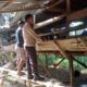 Bhabinkamtibmas Desa Batu Ampar Dorong Ketahanan Pangan Melalui Peternakan Kambing Warga