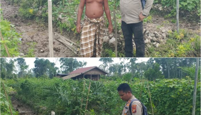 Kapolsek Sungai Sembilan Terjun ke Kebun, Pastikan Program Ketahanan Pangan Berjalan dan Berhasil