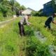 Lahan Cabai Dumai Barat Jadi Sorotan, Bhabinkamtibmas Temukan Hasil Menggembirakan