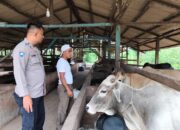 Balik Kandang Sederhana Ini, Ada Harapan Besar untuk Ketahanan Pangan Indonesia