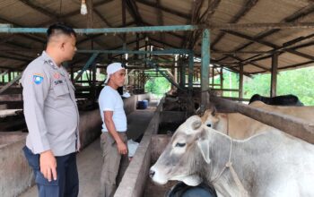 Balik Kandang Sederhana Ini, Ada Harapan Besar untuk Ketahanan Pangan Indonesia