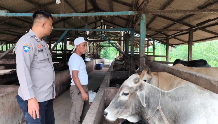 Balik Kandang Sederhana Ini, Ada Harapan Besar untuk Ketahanan Pangan Indonesia
