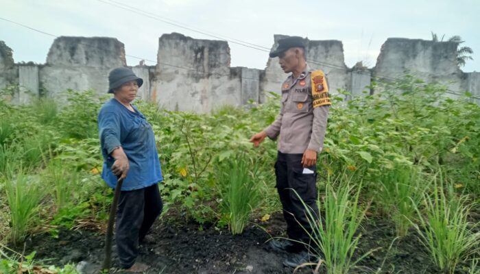 Tak Sekadar Jaga Bhabinkamtibmas Bukit Kapur Turun ke Kebun Lahan Sempit Jadi Bukti Ketahanan Pangan.