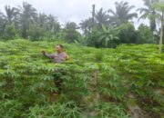 Bhabinkamtibmas Turun Langsung ke Kebun, Pastikan Program Ketahanan Pangan Nasional Berjalan Nyata di Bukit Kapur