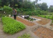Wakapolres Dumai Apresiasi Langkah Bhabinkamtibmas Kawal Ketahanan Pangan, Polsek Bukit Kapur Terus Dampingi Petani