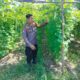 Bhabinkamtibmas Bukit Nenas Pantau Kebun Pare, Wujud Nyata Dukungan Ketahanan Pangan Nasional