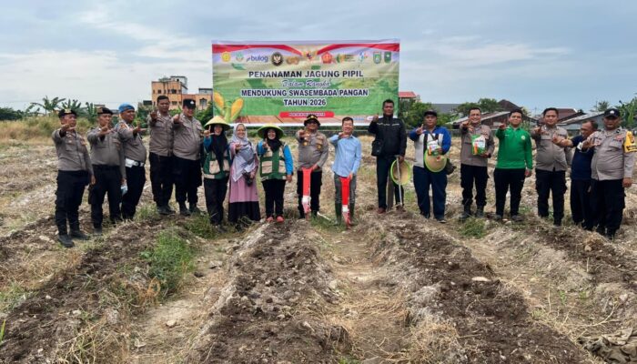 Polres Dumai Dukung Ketahanan Pangan, Polsek Dumai Kota Tanam Jagung Pipil di Lahan Seluas 1 Hektar