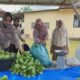 Bhabinkamtibmas Hadir Tengah Petani, Kawal Pekarangan Pangan Bergizi Demi Sukseskan Ketahanan Pangan Nasional