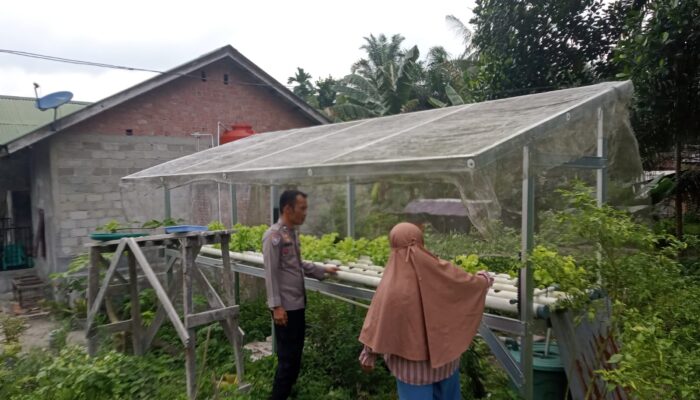 Bhabinkamtibmas Bukit Kapur Intensif Dampingi Petani, Pekarangan Pangan Bergizi Jadi Penguat Ketahanan Pangan Nasional